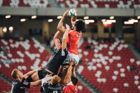 爱游戏官方网站-世界杯后备力量的青少年培养计划，世界杯后的我