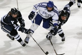 AYX SPORTS-“彼得森的超凡技艺，成为南非羚羊队的获胜法宝”